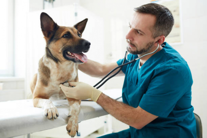 Cardiologista Pet Parque Tomas Saraiva - Eletro para Cães Gatos