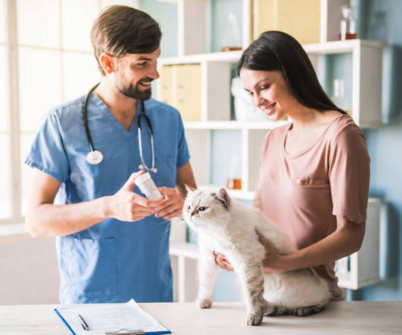 Exame do Coração para Gatos Agendar Vila Melliani - Cardiologista para Cachorro