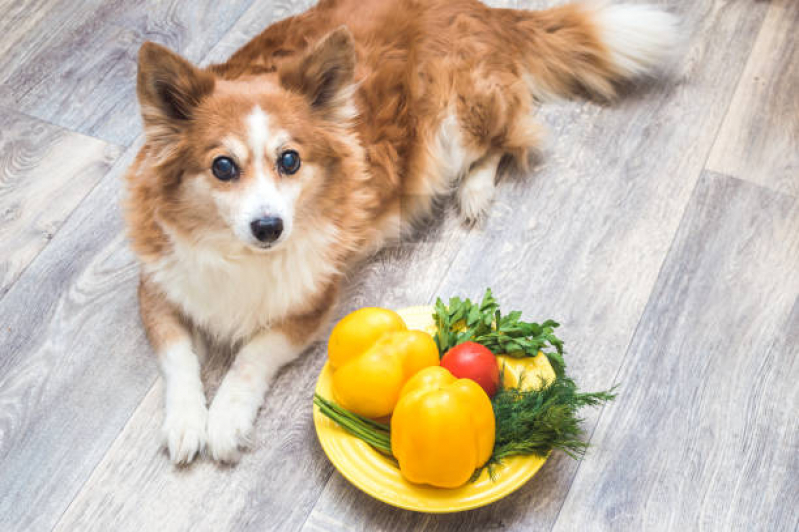 Nutricionista de Cães Marcar Ponche Verde - Nutricionista Profissional para Cães