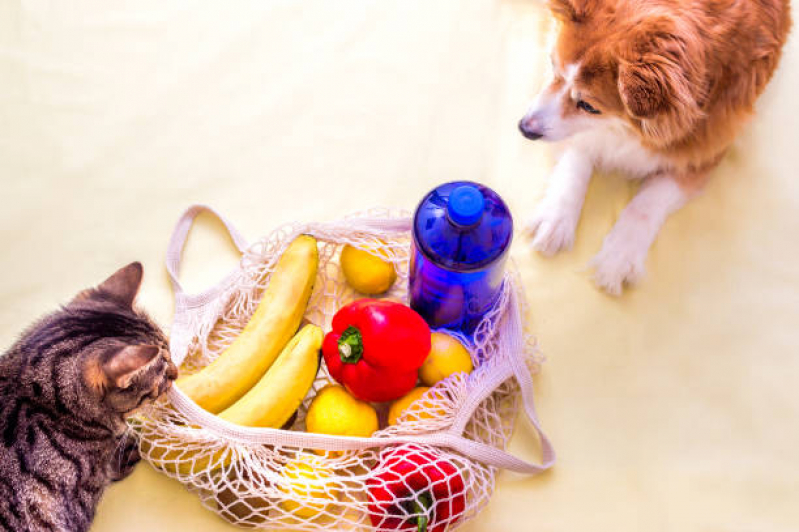 Nutricionista de Cães Vila Melliani - Nutricionista para Cachorro Online