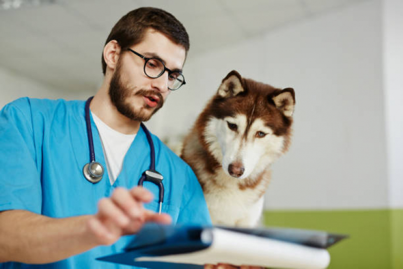 Onde Agendar Eletrocardiograma em Cães São Lucas - Cardiologista para Cachorro