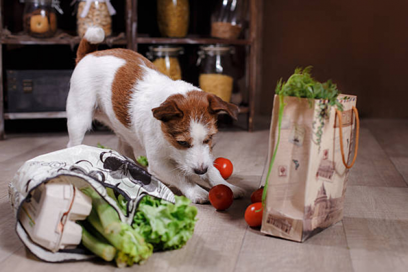Onde Marcar Nutricionista Profissional para Cães Vila Bancaria - Nutricionista para Cachorro Online