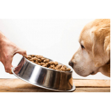 agendar médico nutricionista para cão Vila Esperança