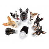 consulta de especialidade de nutricionista para cães Vila Ema