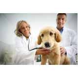 exame de sangue para cachorro marcar Cuidade Patriarca