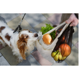 nutricionista para cachorro online Vila Lais