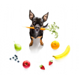 nutricionista para cães marcar Brás