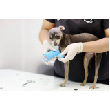 onde agendar consulta de especialidade de ortopedia para cachorro Jardim Lorenzo