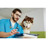 onde agendar eletrocardiograma em cães Miguel Russiano