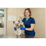 onde agendar exame de ultrassonografia para cães Chácara Califórnia