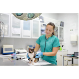 onde marcar consulta de especialidade de oftalmologia para gato Jardim Lorenzo