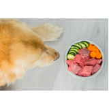 onde marcar nutricionista para cachorro online Vila Oratoria