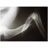 ortopedia para cães de médio porte clínica Funeraria